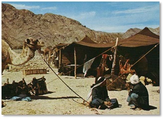 A goat hair tent of the Bedouin, modern day nomads of the Near East